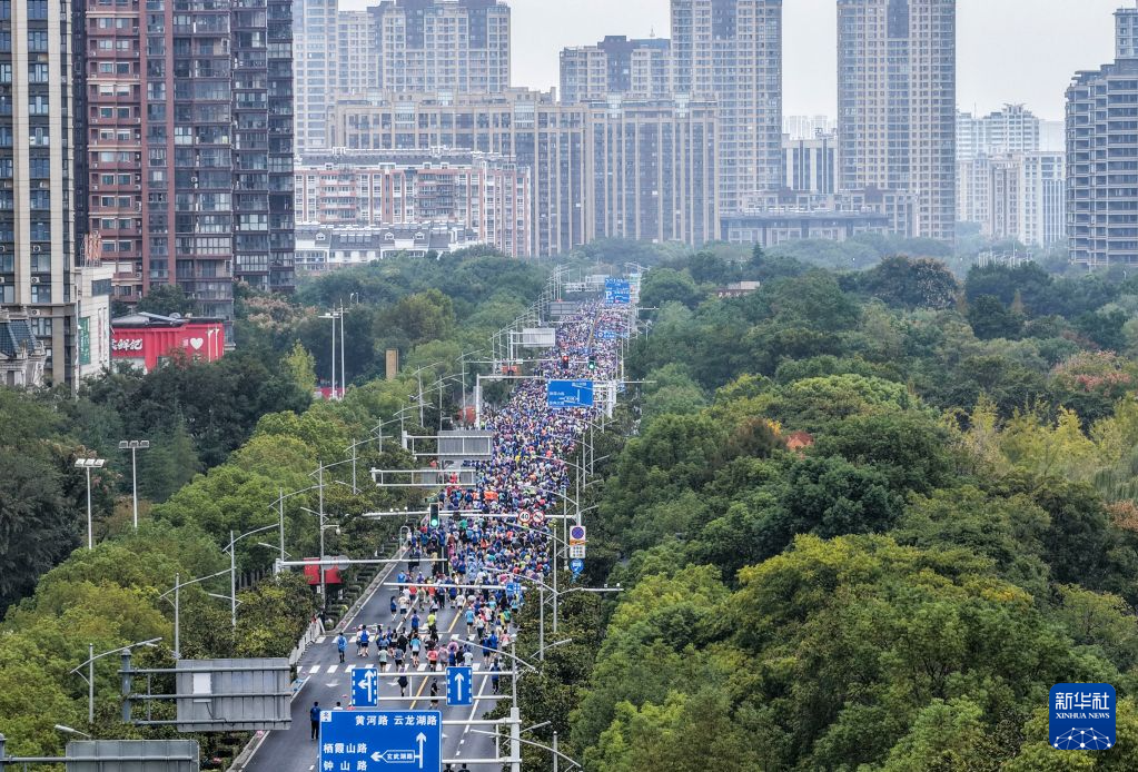tyc44118太阳成图片展示